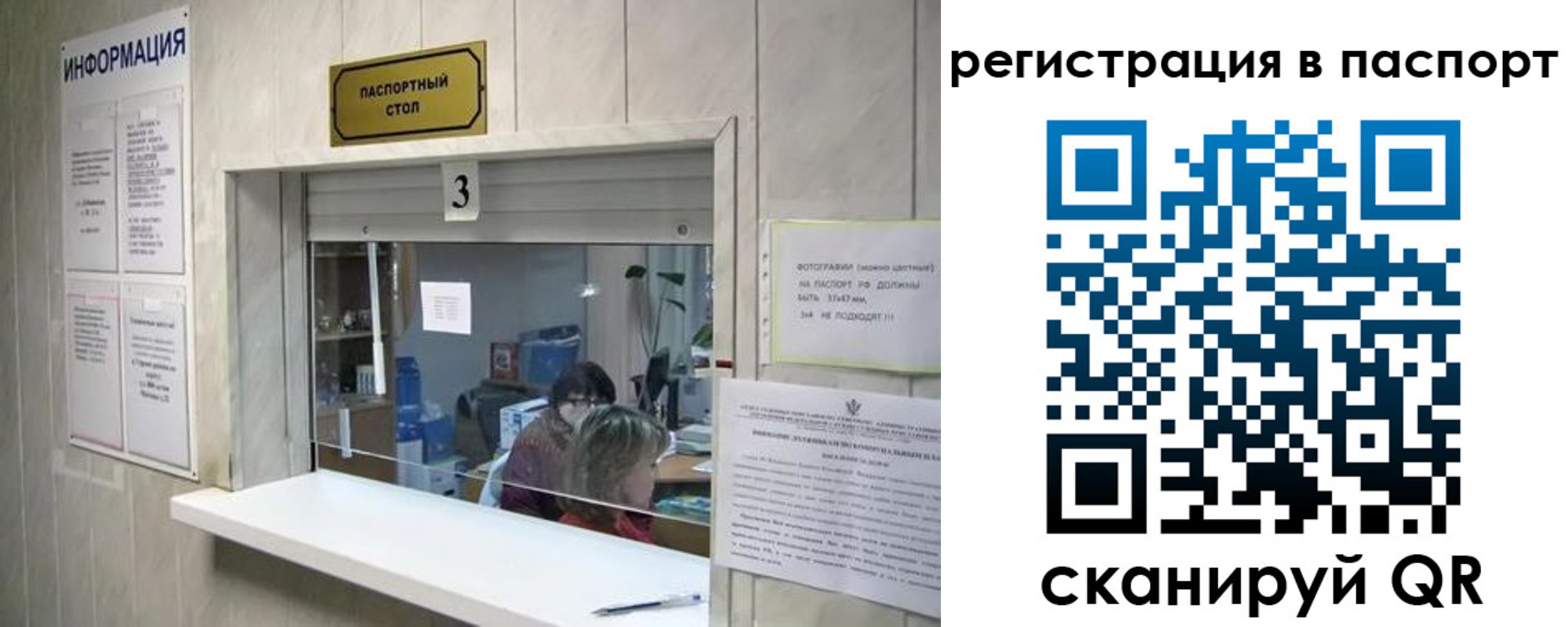 прописка поиск в Приозерске